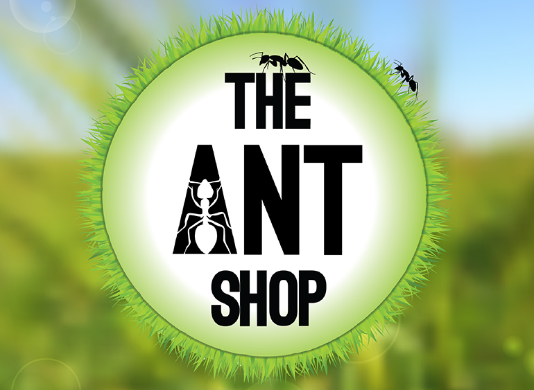 Logo Design - Unique Online Store